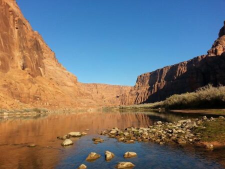 Experience the Magic of Brazil’s Queen of Rock, Rita Lee, Lighting Up the Rio Carnival Parade
