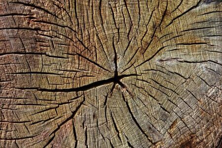 Heartbreaking Snowmobile Accident Takes Life of 8-Year-Old Girl in Hakuba, Japan Heartbreaking Snowmobile Accident Takes Life of 8-Year-Old Girl in Hakuba, Japan