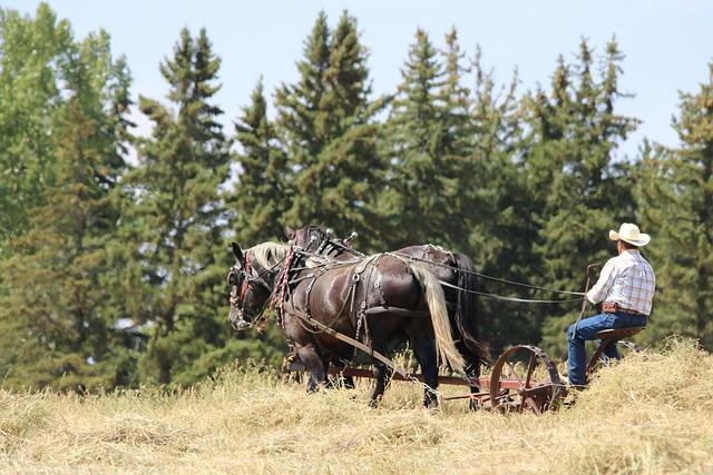 Team USA Triumphs Over Colorado Rockies in Thrilling World Baseball Classic 2026 Exhibition Finale