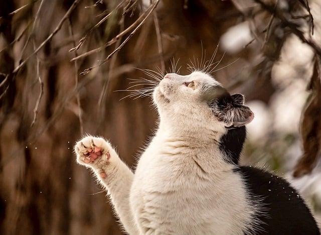 Australia Soars to New Heights, Welcoming Nearly Four Million Visitors in 2025 and Outpacing New Zealand’s Tourism Boom