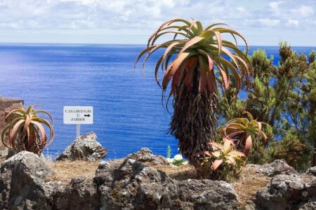 Michael Ballack Challenges Lennart Karl to Fight for His Place on Germany’s World Cup Team Michael Ballack Challenges Lennart Karl to Fight for His Place on Germany’s World Cup Team
