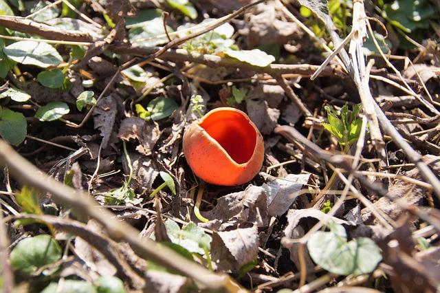 Japan Strikes Landmark Deal with Lynas to Secure Vital Rare Earths Supply