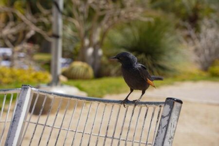 Eins, Zwei, Drei: The United Kingdom’s Thrilling Eurovision Reveal!