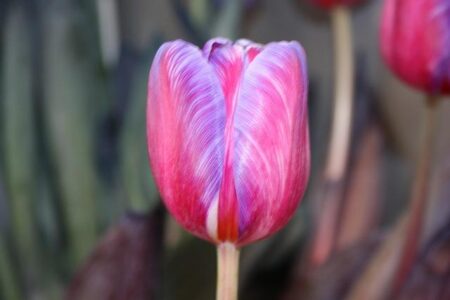 US Launches Major ‘Unfair Trade’ Investigation Targeting India and 15 Other Nations: Key Details Inside