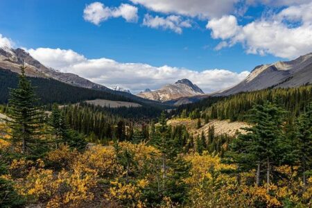 USA Parkway Partially Reopens to Limited Traffic After Water Main Break