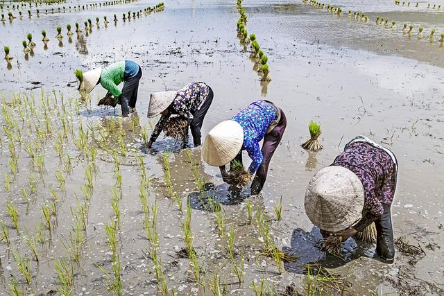 Did China Beat Elon Musk’s Neuralink to Market with a Commercial Brain Implant?