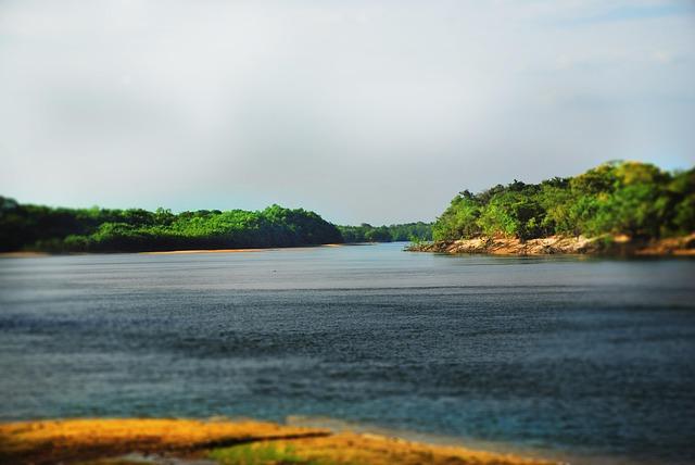 2026 World Baseball Classic: Venezuela Stuns Defending Champion Japan, Advances to Semifinals Against Italy 2026 World Baseball Classic: Venezuela Stuns Defending Champion Japan, Advances to Semifinals Against Italy