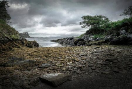 Canada’s Kerri Einarson Clinches Victory in Thrilling Women’s World Curling Clash Against Denmark’s Dupont