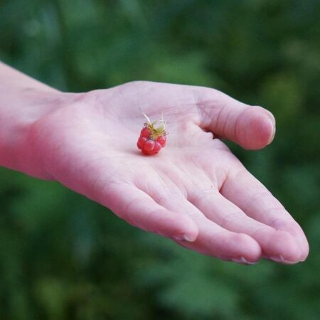 Elvira Viedma Reveals Why Spain Continues to Dominate as Europe’s Premier Summer Destination and Accessibility Leader