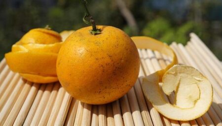 Australia’s Cam McEvoy Smashes 17-Year-Old 50m Freestyle World Record