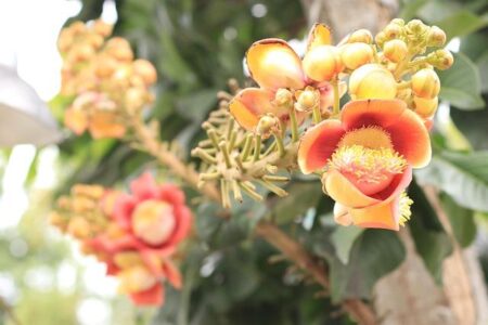 Premier Declares Regional South Australia a Top Priority for Fuel Supply Amid Global Crisis Premier Declares Regional South Australia a Top Priority for Fuel Supply Amid Global Crisis