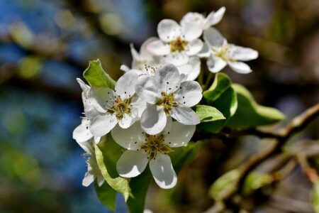 Léo Pereira’s Unforgettable Brazil Debut – Watch the Best Moments 🎥