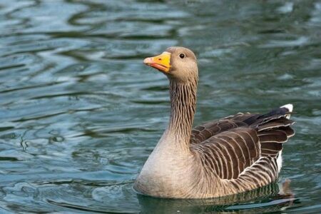 Poland Tightens Border Security in Response to Surging Illegal Migration Threats Poland Tightens Border Security in Response to Surging Illegal Migration Threats