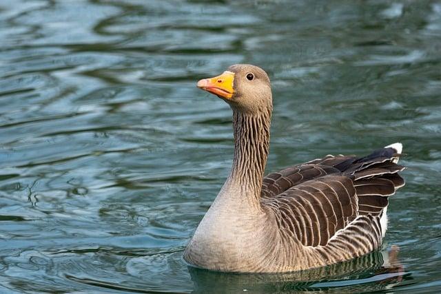 Poland Tightens Border Security in Response to Surging Illegal Migration Threats