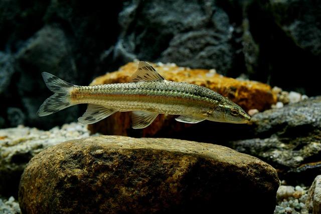 Unlock the Secrets of March 30, 2026: Your Pisces Daily Horoscope Awaits!