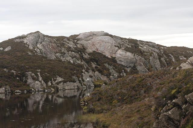 Avi Lewis Steps Up as Canada’s Dynamic New NDP Leader