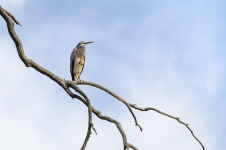 Australia’s Sky Turns Apocalyptic Blood Red Ahead of Approaching Tropical Cyclone