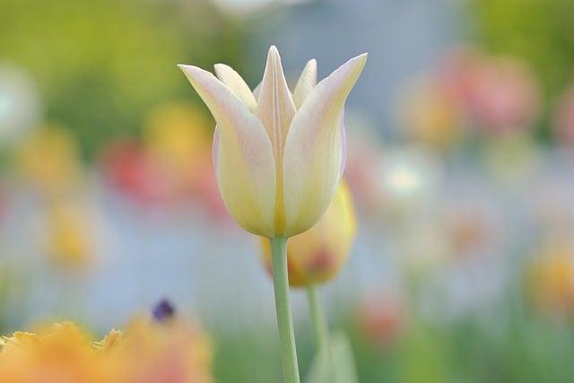 April 2026 in France: Essential Changes Every Resident Should Know