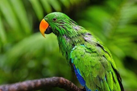 April 2, 2026: Top Developments Shaping Australian Foreign Affairs This Week