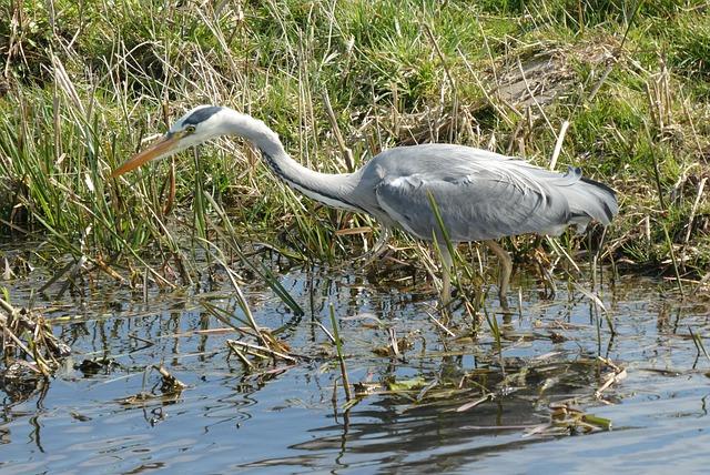 2026 World Cup Predictions: Messi’s Heartbreak and Spain’s Shocking Final Exit