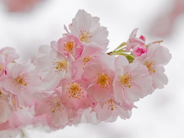 Ireland Rallies in Global Emergency Response Amid UAE Visa Expiry and Airspace Challenges Affecting Travelers