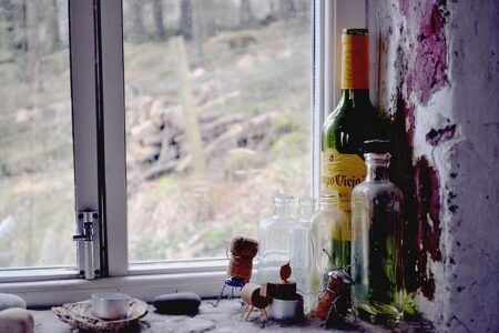 From Vilified to Vindicated: The Untold Truth About Pat Fitzgerald Finally Uncovered