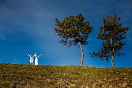 Nationals Senator Ross Cadell Blasts Leaders for Overlooking the True Toll of Soaring Fuel Prices