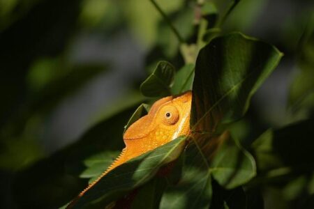 Explore Spain’s Most Serene and Untouched Hidden Gems Beloved by Travelers