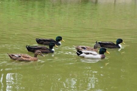 Activist Flotilla Packed with Aid Embarks from Spain Heading to Gaza Activist Flotilla Packed with Aid Embarks from Spain Heading to Gaza