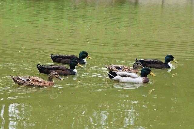 Activist Flotilla Packed with Aid Embarks from Spain Heading to Gaza