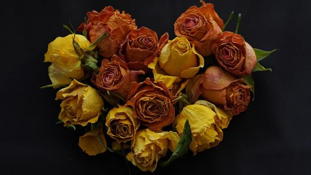 Brazil’s VDF Showcase Returns to Cannes Featuring an Exciting Lineup of Fresh, Diverse New Talent