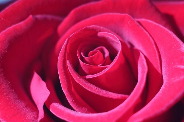 Four Arrested in Major Crackdown on Mule Account Scam