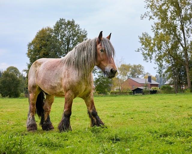 2026 NFL Draft Rounds 2 and 3: Comprehensive Grades and Expert Analysis for Every Pick