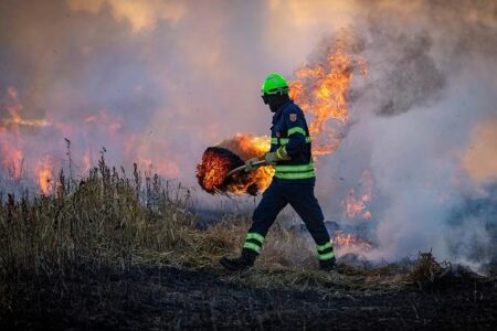 Blazing Wildfires Erupt Across France, Raising Alarm