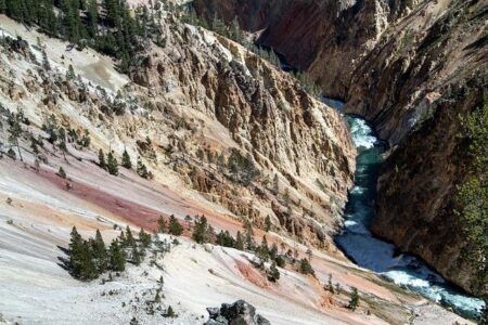 Discover the Untamed Beauty of Yellowstone Like Never Before
