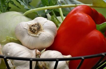 Mexico Opens Exciting New Market by Exporting Bell Peppers to Japan