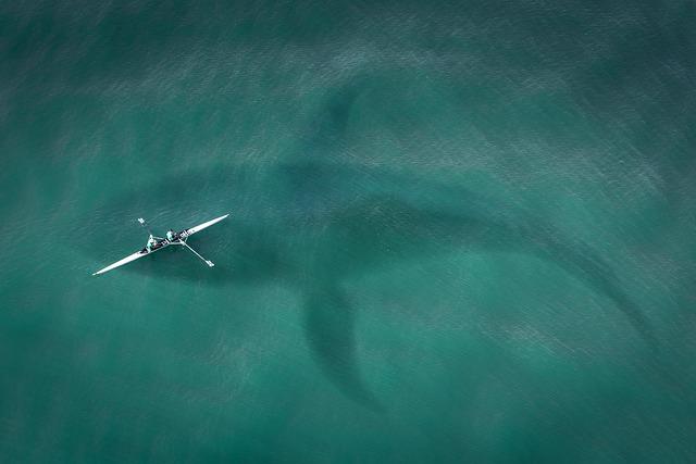 Terrifying Encounter: Man Fatally Attacked by 13-Foot Shark in Western Australia