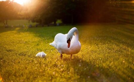 Heatwave Alert: Recognize These Early Warning Signs to Protect Your Life Heatwave Alert: Recognize These Early Warning Signs to Protect Your Life