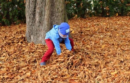 When a Child’s Quest for Independence Uncovers Hidden Emotional Wounds When a Child’s Quest for Independence Uncovers Hidden Emotional Wounds