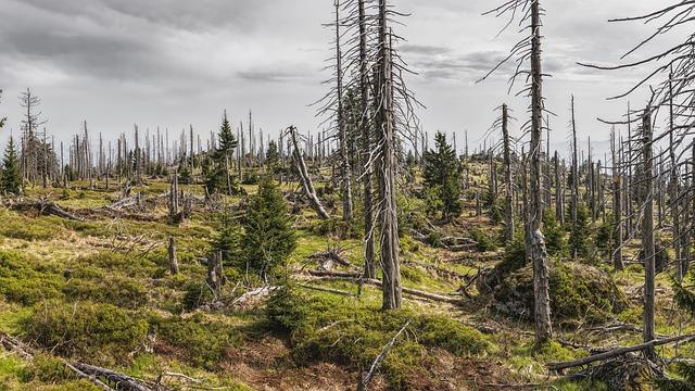 Environmental Lawsuits Threaten $2.8 Billion Brazilian Mining Projects Environmental Lawsuits Threaten $2.8 Billion Brazilian Mining Projects