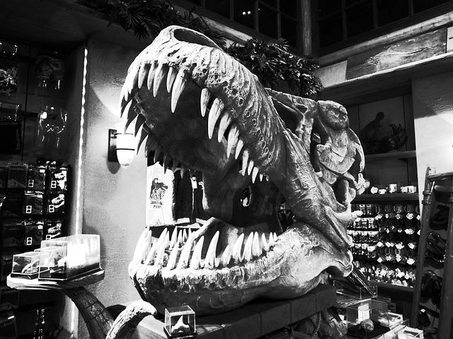 Germany to Return Contested Dinosaur Fossil to Brazil in Historic Repatriation Effort Germany to Return Contested Dinosaur Fossil to Brazil in Historic Repatriation Effort