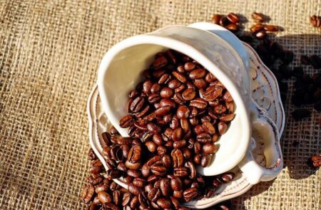 Unlocking the Future of Brazil Coffee Beans: Market Insights, Emerging Trends, and Expert Forecasts Unlocking the Future of Brazil Coffee Beans: Market Insights, Emerging Trends, and Expert Forecasts