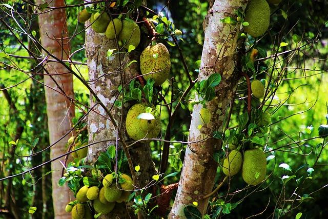 You Are Not Welcome”: Laura Loomer’s Desire to Return to India Sparks Heated Controversy