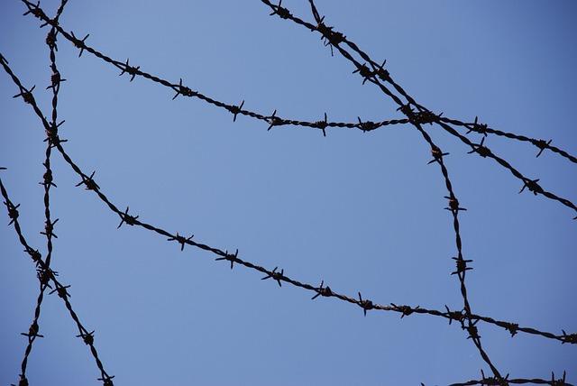 How I Survived by Hunting Rabbits and Pheasants After Escaping a German Labor Camp