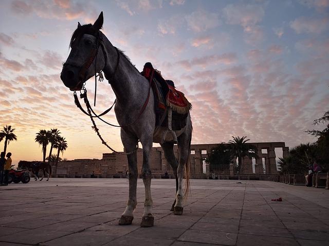 Hidden Ancient Sanctuary and Temple Unearthed Beneath Italian Highway Construction Site Hidden Ancient Sanctuary and Temple Unearthed Beneath Italian Highway Construction Site