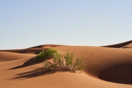 How Morocco Became a Crucial Partner in China’s Drive for a Green Economy