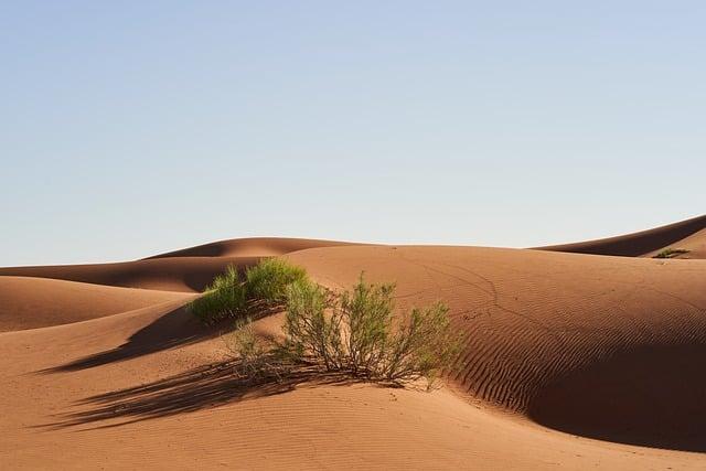 How Morocco Became a Crucial Partner in China’s Drive for a Green Economy