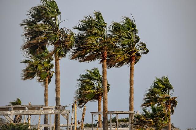 Tropical Storm Jangmi Hits Japan, Cutting Power to 60,000 Homes Tropical Storm Jangmi Hits Japan, Cutting Power to 60,000 Homes