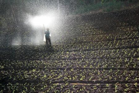 Brazil Pursues Fertilizer Independence to Navigate Global Supply Challenges Brazil Pursues Fertilizer Independence to Navigate Global Supply Challenges