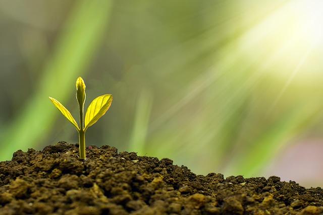 AirTrunk Commits $30 Billion to Build 5GW of Cutting-Edge AI Data Centers Across India AirTrunk Commits $30 Billion to Build 5GW of Cutting-Edge AI Data Centers Across India